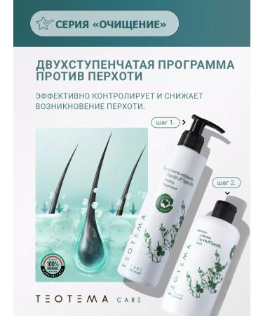THEOTEMA Fands' shampoo for delicate hair and skin cleansing - Buy Online on GoSupps.com