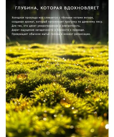 SOLTIS Shampoo for all types of hair Moss & Amber 5l - Buy Online on GoSupps.com