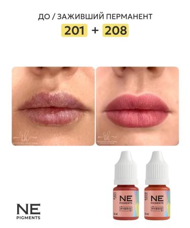 NE Pigments Elena Nechaeva Pigment for the Lip Permanent 201 watermelon 10 ml - Buy Online on GoSupps.com