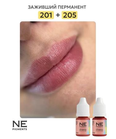 NE Pigments Pigment for PM and lip tattoo 205 rose 10 ml - Buy Online on GoSupps.com