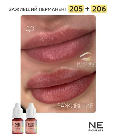 NE Pigments Permanent Makeup Pigment for Lips 206 Ash Rose 10ml - Buy Online on GoSupps.com