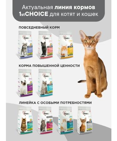1st Choice Cat food hypoallergenic dry duck and potatoes 2.72kg - Buy Online on GoSupps.com