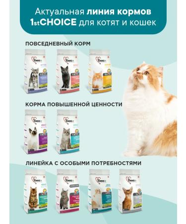 1st Choice Cat food dry prevention of ICD 1.8kg - Buy Online on GoSupps.com