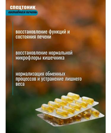 Sashera-med Cedar oil with a fox for the liver 30 caps 3 pieces - Buy Online on GoSupps.com