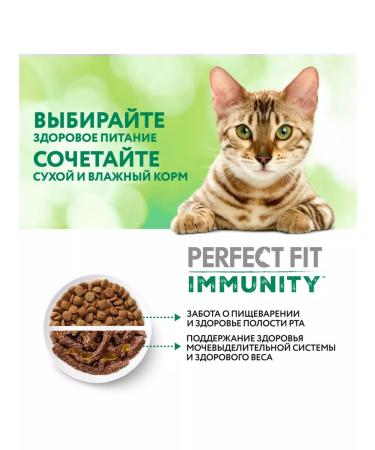 PERFECT FIT Dry food for Immunity cats Druglin turkey 3pcs (580g) - Buy Online on GoSupps.com