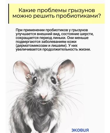 Vetosporin Probiotic for rodents of rodent healthyard - Buy Online on GoSupps.com