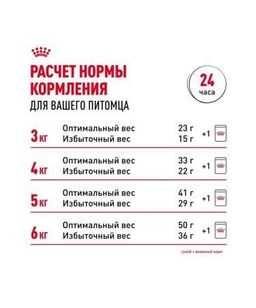 ROYAL CANIN Dry Bengal food for cats Bengal 0.4 kg - Buy Online on GoSupps.com