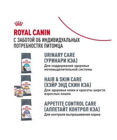 ROYAL CANIN Dry Bengal food for cats Bengal 0.4 kg - Buy Online on GoSupps.com