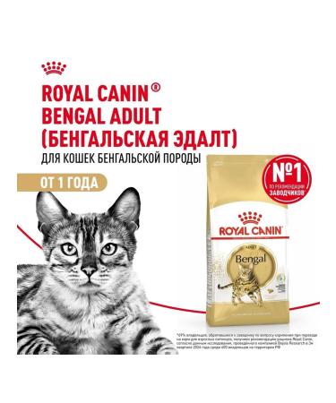 ROYAL CANIN Dry Bengal food for cats Bengal 0.4 kg - Buy Online on GoSupps.com
