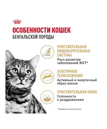 ROYAL CANIN Dry Bengal food for cats Bengal 0.4 kg - Buy Online on GoSupps.com