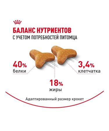 ROYAL CANIN Dry Bengal food for cats Bengal 0.4 kg - Buy Online on GoSupps.com