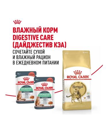 ROYAL CANIN Dry Bengal food for cats Bengal 0.4 kg - Buy Online on GoSupps.com