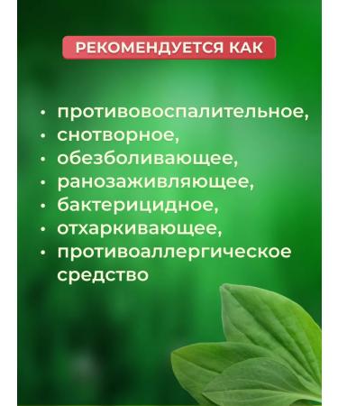 Large plantain leaves 50 g (Horst) - Buy Online on GoSupps.com