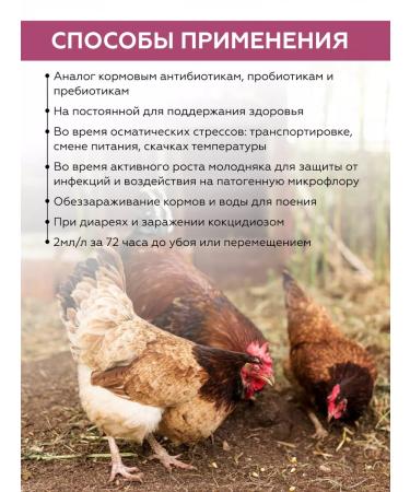 SKYAGRO Betacordplex vitamins with phyto antibiotics for chickens and chickens - Buy Online on GoSupps.com