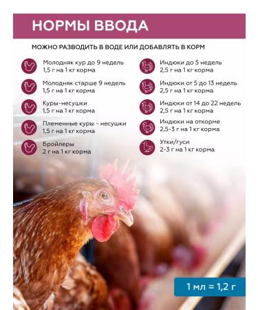 SKYAGRO Betacordplex vitamins with phyto antibiotics for chickens and chickens - Buy Online on GoSupps.com