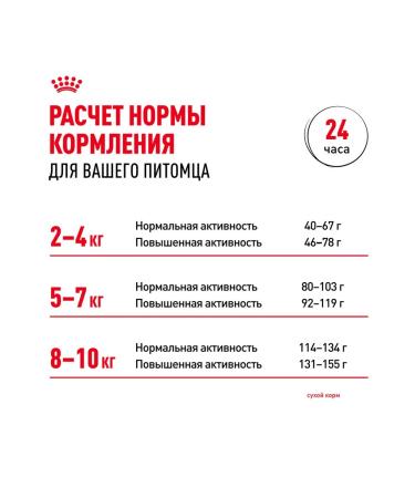 ROYAL CANIN Dog feed for dry mini adult 8+ for small rocks 4 kg - Buy Online on GoSupps.com