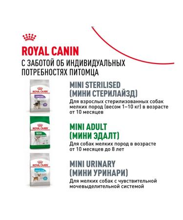 ROYAL CANIN Dog feed for dry mini adult 8+ for small rocks 4 kg - Buy Online on GoSupps.com