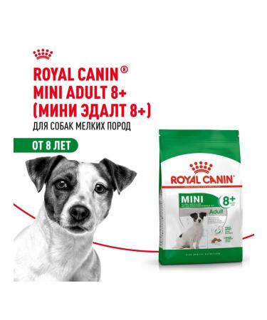ROYAL CANIN Dog feed for dry mini adult 8+ for small rocks 4 kg - Buy Online on GoSupps.com