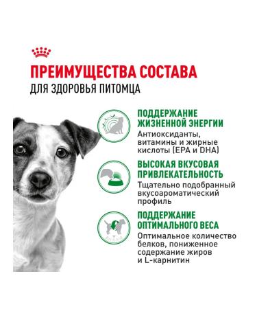 ROYAL CANIN Dog feed for dry mini adult 8+ for small rocks 4 kg - Buy Online on GoSupps.com