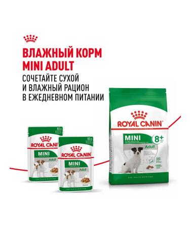 ROYAL CANIN Dog feed for dry mini adult 8+ for small rocks 4 kg - Buy Online on GoSupps.com