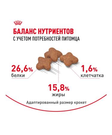 ROYAL CANIN Dog food for dry mini adult 8+ for small rocks 2 kg - Buy Online on GoSupps.com