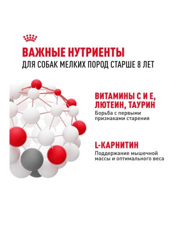 ROYAL CANIN Dog food for dry mini adult 8+ for small rocks 2 kg - Buy Online on GoSupps.com