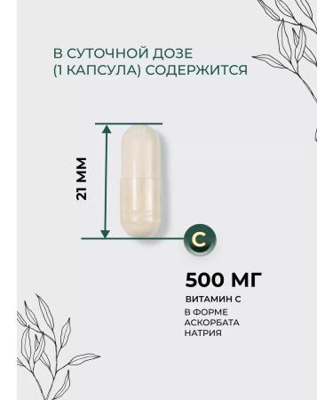 Parapharm Vitamin C Acorbath sodium capsule capsule 500 mg for immunity - Buy Online on GoSupps.com