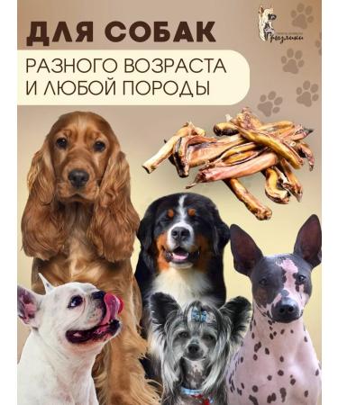 Gryzliks Dried natural treat for dogs Bull root 200 grams - Buy Online on GoSupps.com