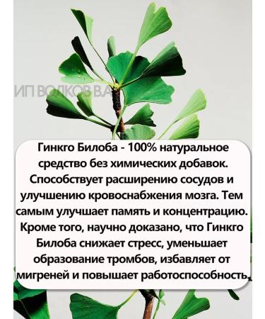 Thanyaporn herbs Capsules of ginkgo bilobe for the brain memory and head - Buy Online on GoSupps.com