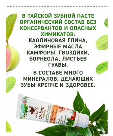 Natural Products Factory Thai paste 2 pcs - Buy Online on GoSupps.com