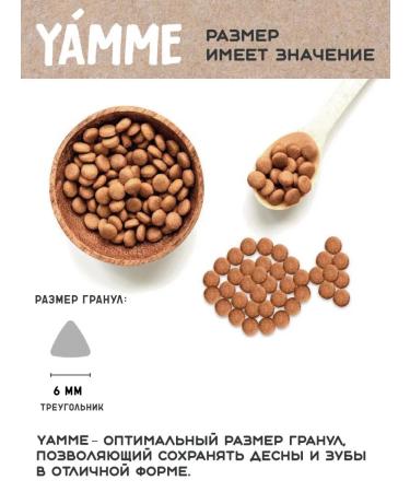 Yamme Dry food for kittens with salmon 5 kg of yammi holistic - Buy Online on GoSupps.com