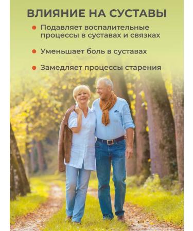 VeganNova Kurkumin with piperin and oil of wheat germ 60 capsules - Buy Online on GoSupps.com