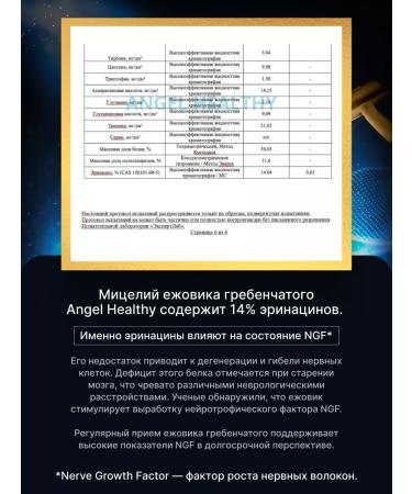 Angel Healthy Ezhovik creped mycelium powder 100 g - Buy Online on GoSupps.com