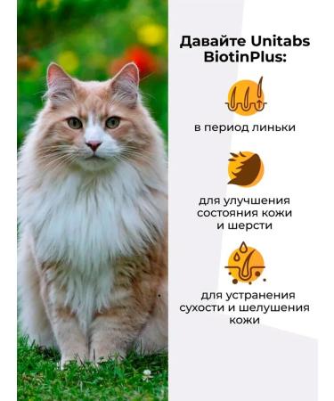 Unitabs Biotinplus vitamins for cats BIOTIN TAURIN 200 - Buy Online on GoSupps.com