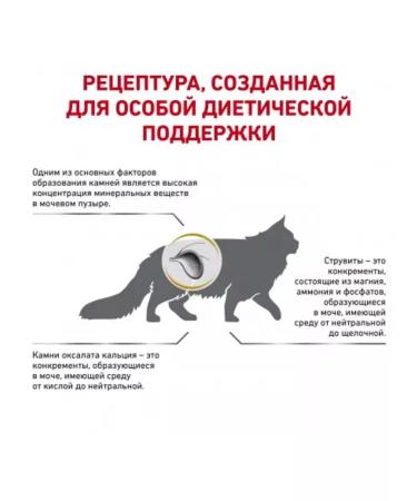 ROYAL CANIN Urinary 1.5 kg for adult cats with ICD - Buy Online on GoSupps.com