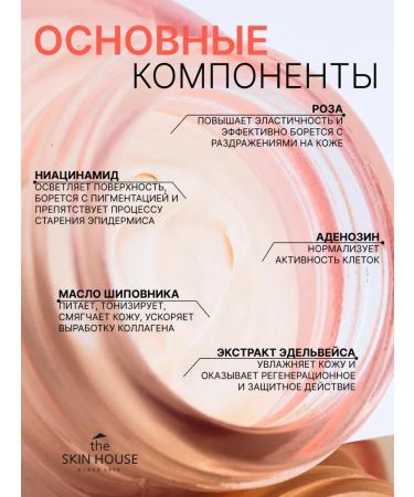 The Skin House Anti -aging moisturizer for Korea's face cream 50 ml - Buy Online on GoSupps.com