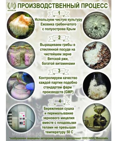 Research Center Mikoline Cluscular hedgehog for brain and memory after stroke - Buy Online on GoSupps.com