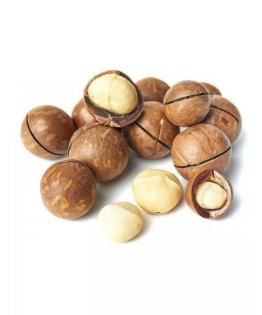 Set of quality nuts 1.5 kg - Buy Online on GoSupps.com