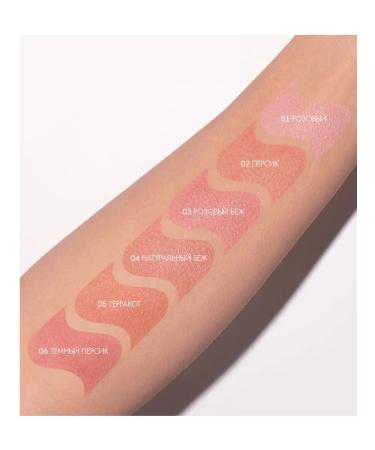 LUXVISAGE Face blush dry compact Silk Dream tone 05 terracott - Buy Online on GoSupps.com