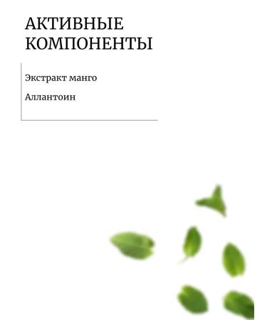 Lebelage Musca-salpha with mangoes 10 pcs - Buy Online on GoSupps.com