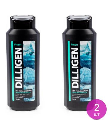 Soul Gel male dilligen Energy of freshness 400ml 2 pcs