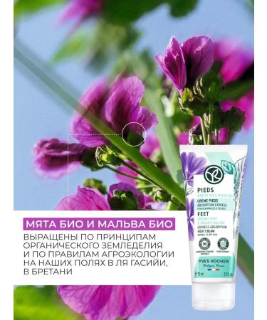 Yves Rocher Fast-Absorbing Foot Cream - Buy Online on GoSupps.com