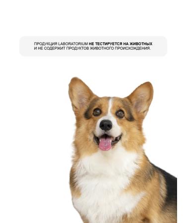 LABORATORIUM Body scrub anti -cellulite mulled wine 250 ml - Buy Online on GoSupps.com