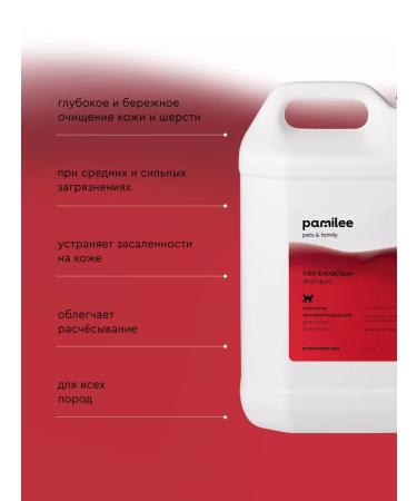 Pamilee Professional shampoo for dogs Groom ExtraClean - Buy Online on GoSupps.com