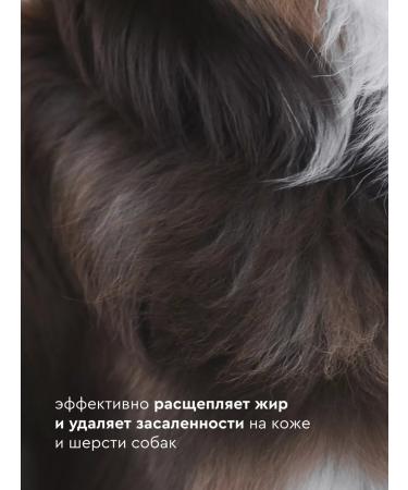 Pamilee Professional shampoo for dogs Groom ExtraClean - Buy Online on GoSupps.com