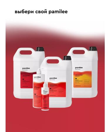 Pamilee Professional shampoo for dogs Groom ExtraClean - Buy Online on GoSupps.com