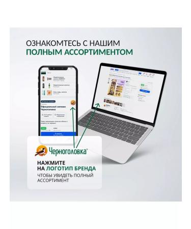 Baikal Natural Energi Coffee Lemon 12 pcs x 0.45 l - Buy Online on GoSupps.com