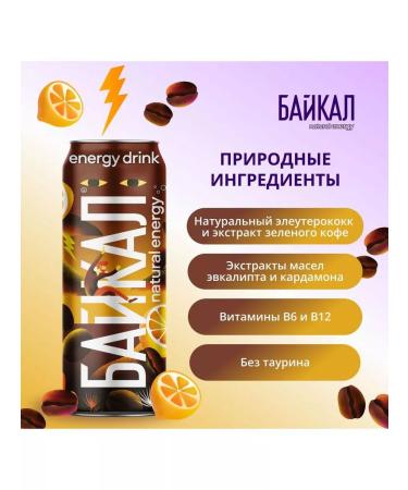 Baikal Natural Energi Coffee Lemon 12 pcs x 0.45 l - Buy Online on GoSupps.com