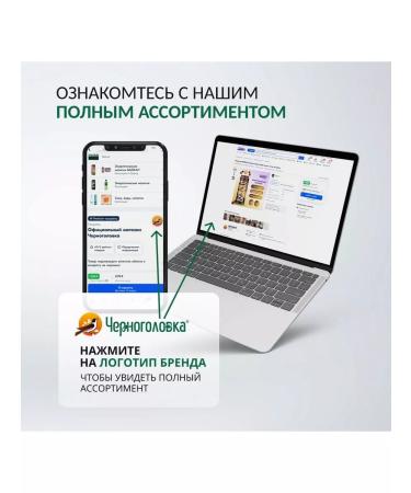 Baikal Natural Energi Coffee Lemon 12 pcs x 0.45 l - Buy Online on GoSupps.com