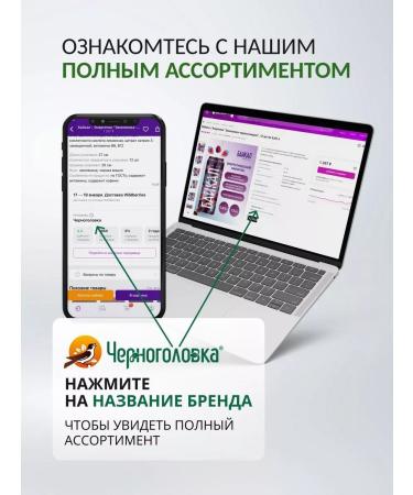 Baikal Natural Energi Raspberry-Dick Currant 12 pcs x 0.45 l - Buy Online on GoSupps.com